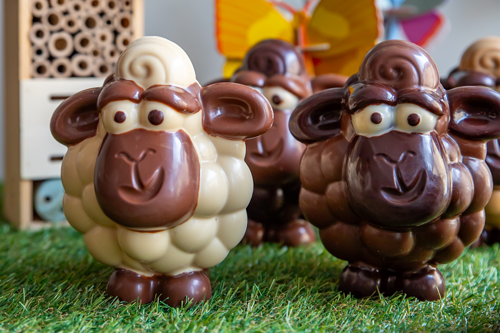 Image de Chocolat T