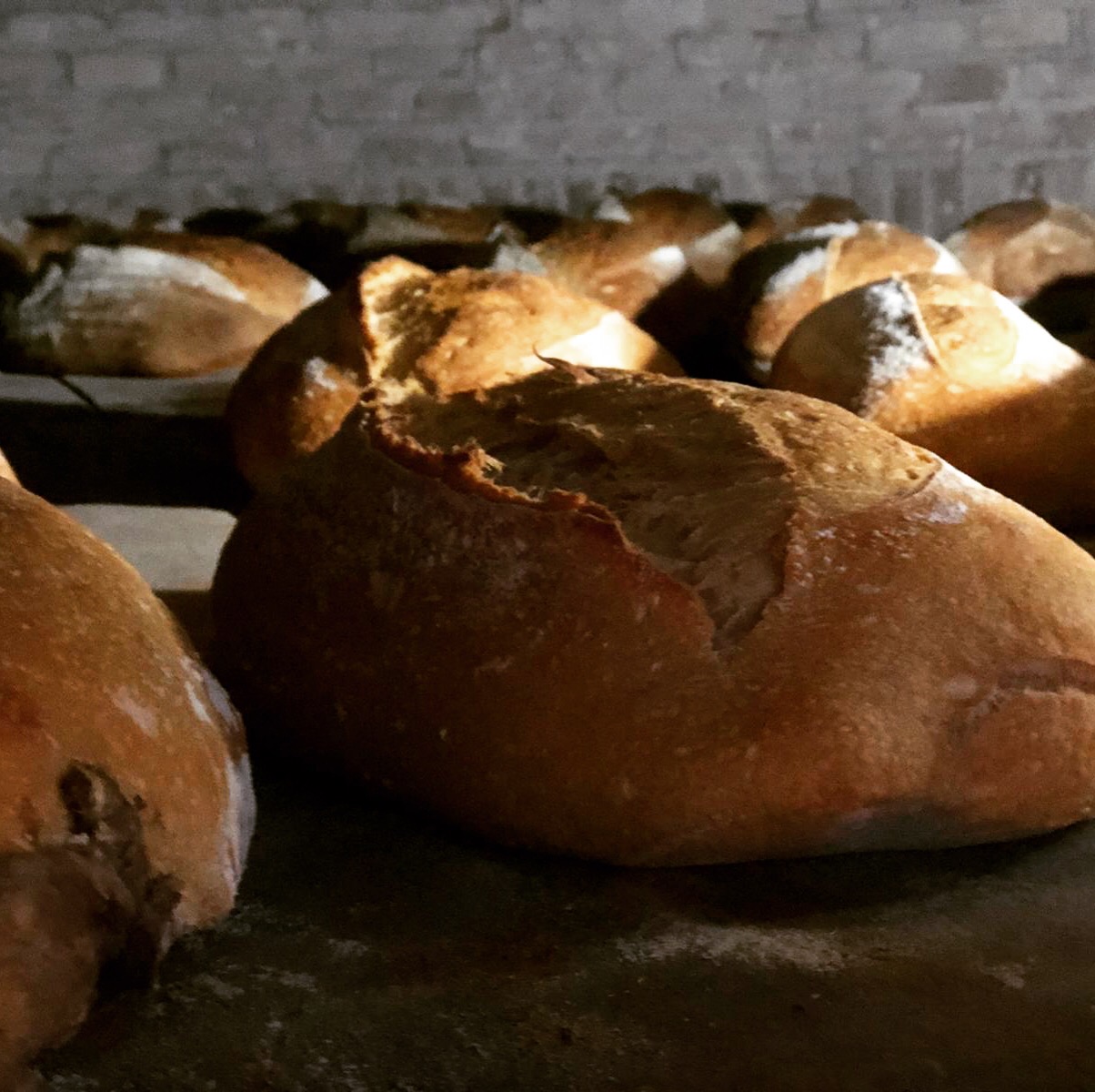 Image de Terre et blé