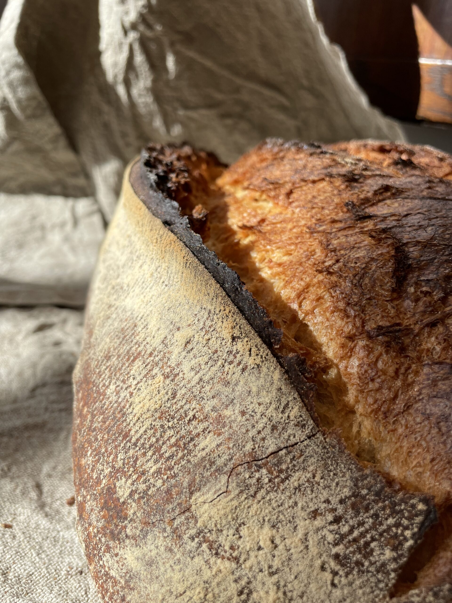 Image de Terre et blé